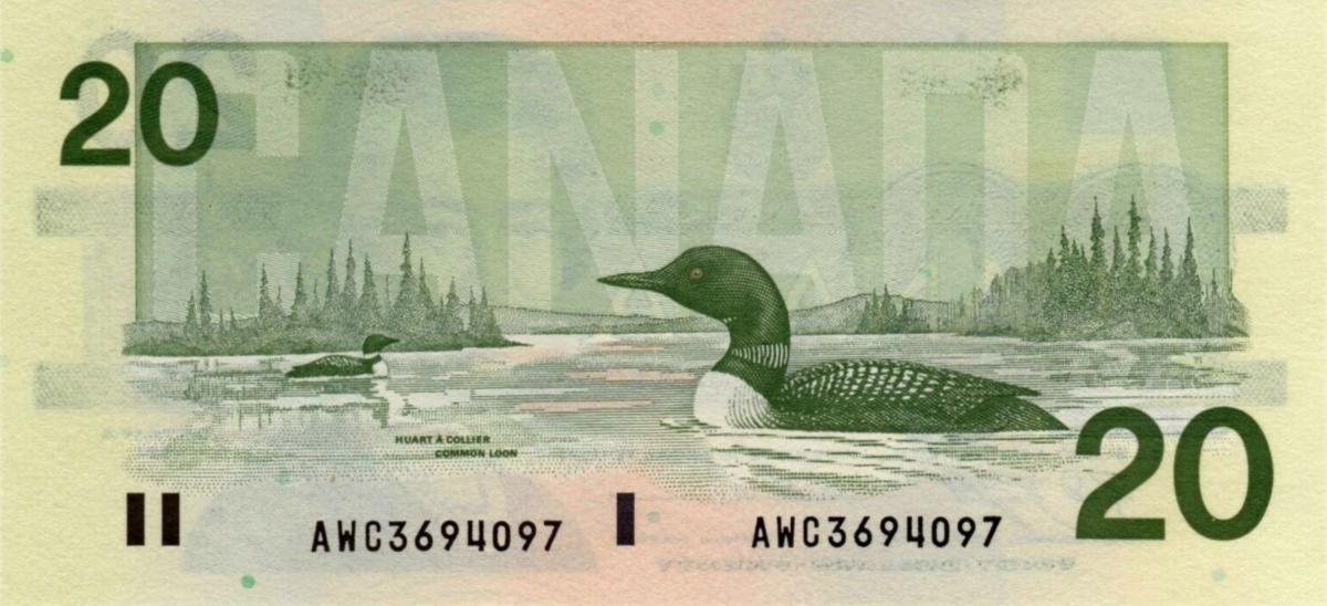 Back of Canada p97c: 20 Dollars from 1991