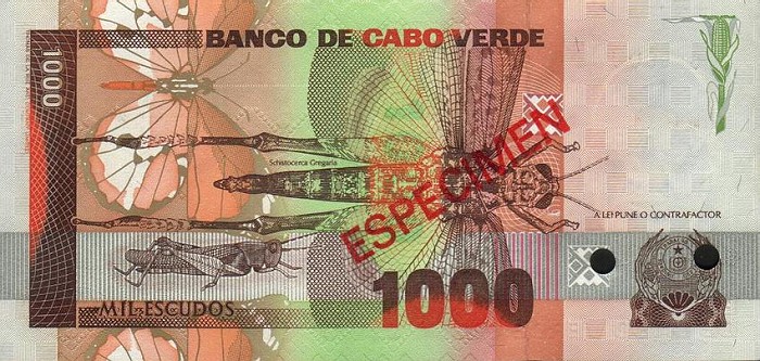 Back of Cape Verde p60s: 1000 Escudos from 1989