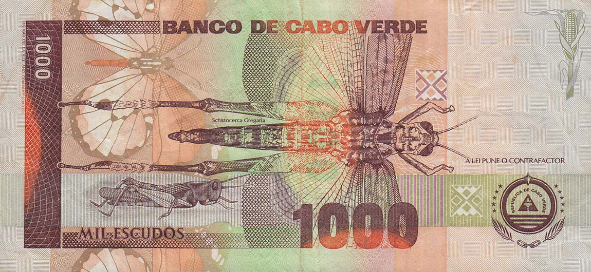 Back of Cape Verde p65b: 1000 Escudos from 2002