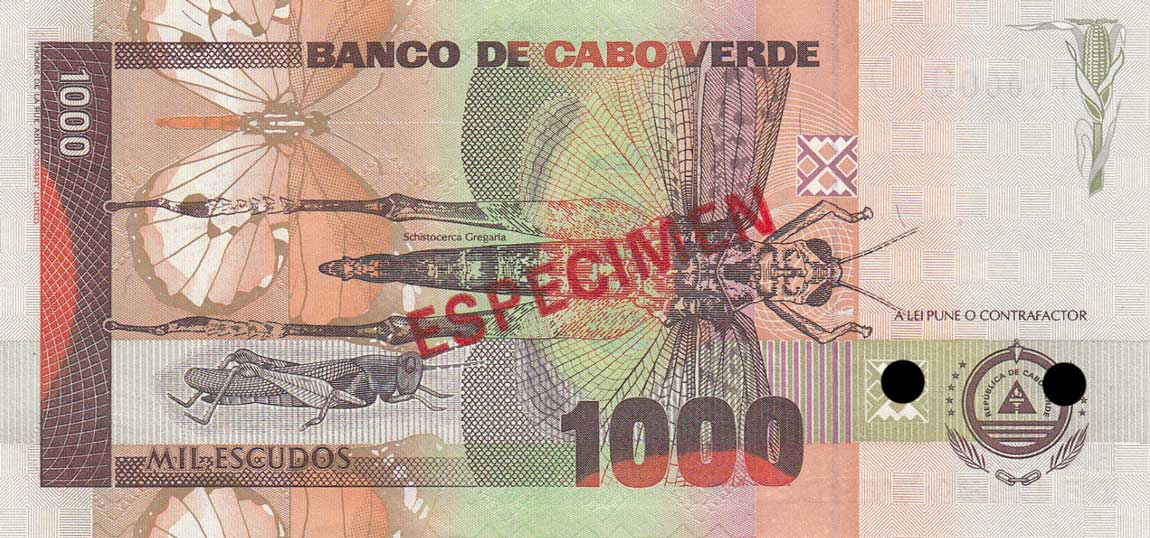 Back of Cape Verde p65s2: 1000 Escudos from 2002