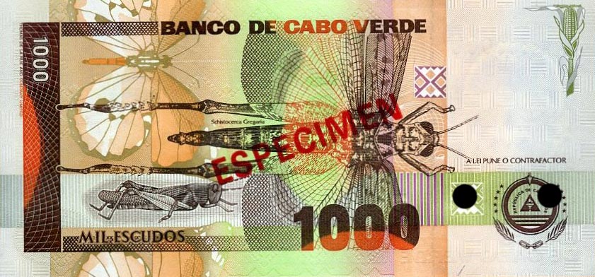 Back of Cape Verde p65s1: 1000 Escudos from 1992