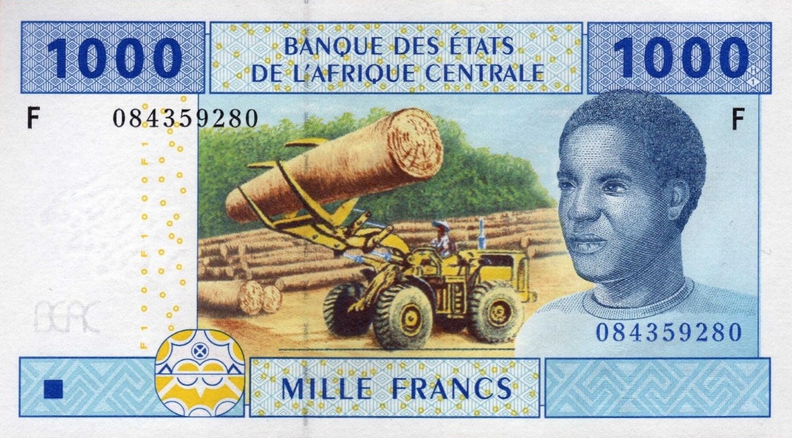 Front of Central African States p507Fb: 1000 Francs from 2002