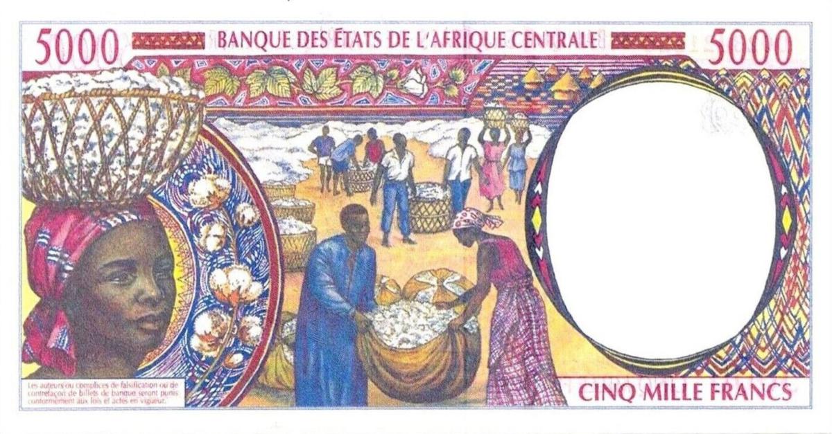 Back of Central African States p104Cg: 5000 Francs from 2002