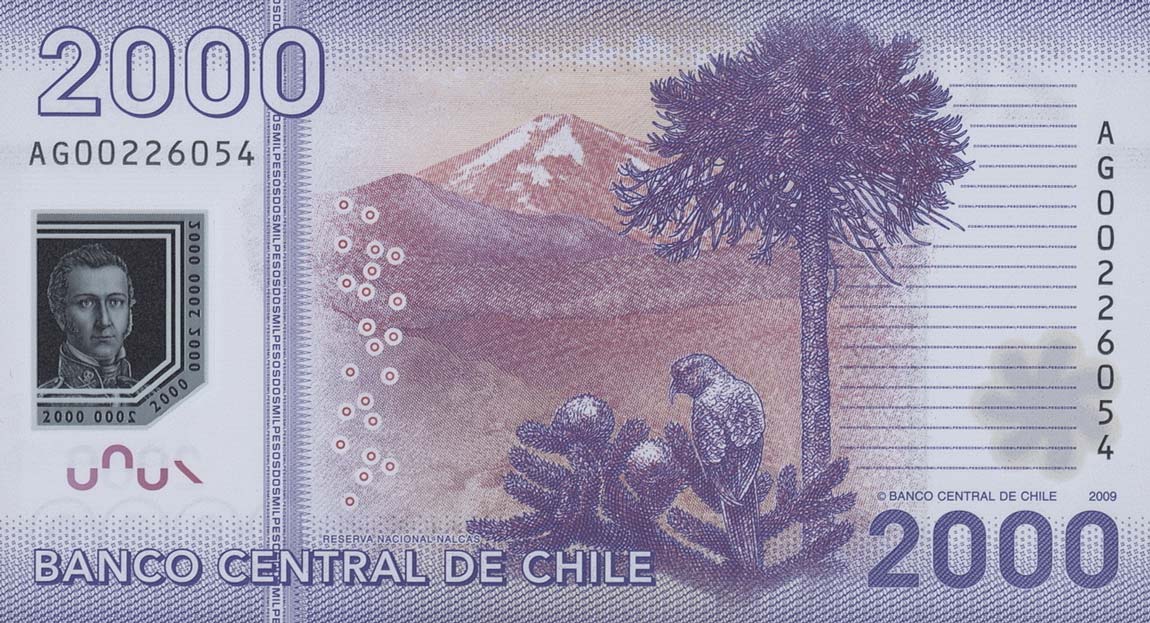 Back of Chile p162a: 2000 Pesos from 2009