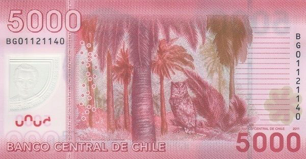 Back of Chile p163b: 5000 Pesos from 2011