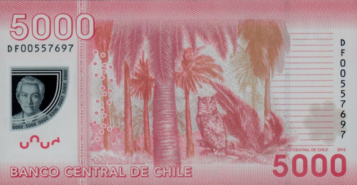 Back of Chile p163c: 5000 Pesos from 2012