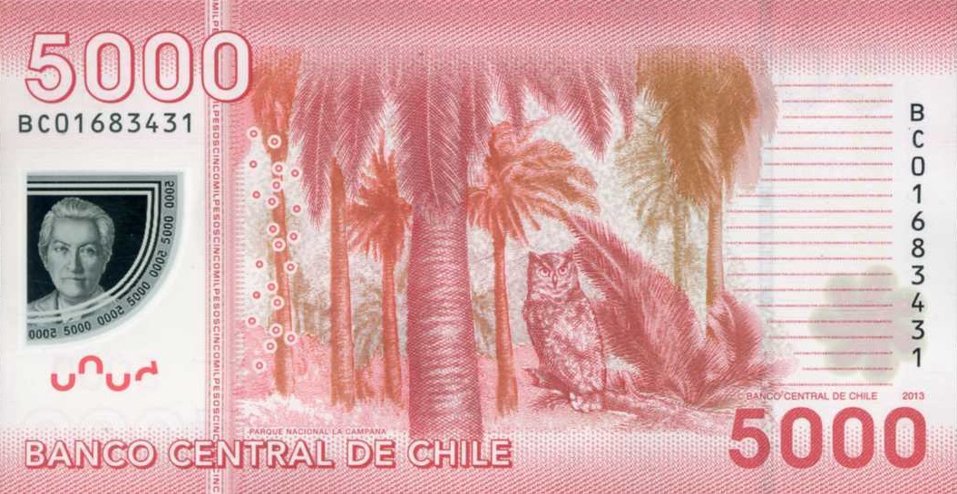 Back of Chile p163d: 5000 Pesos from 2013