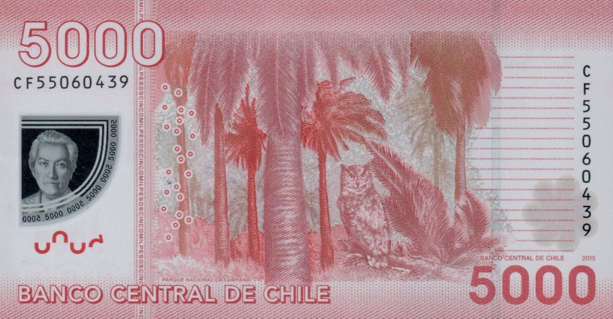 Back of Chile p163f: 5000 Pesos from 2015