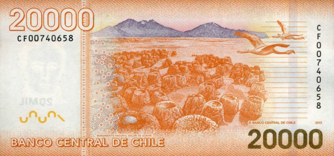 Back of Chile p165d: 20000 Pesos from 2013