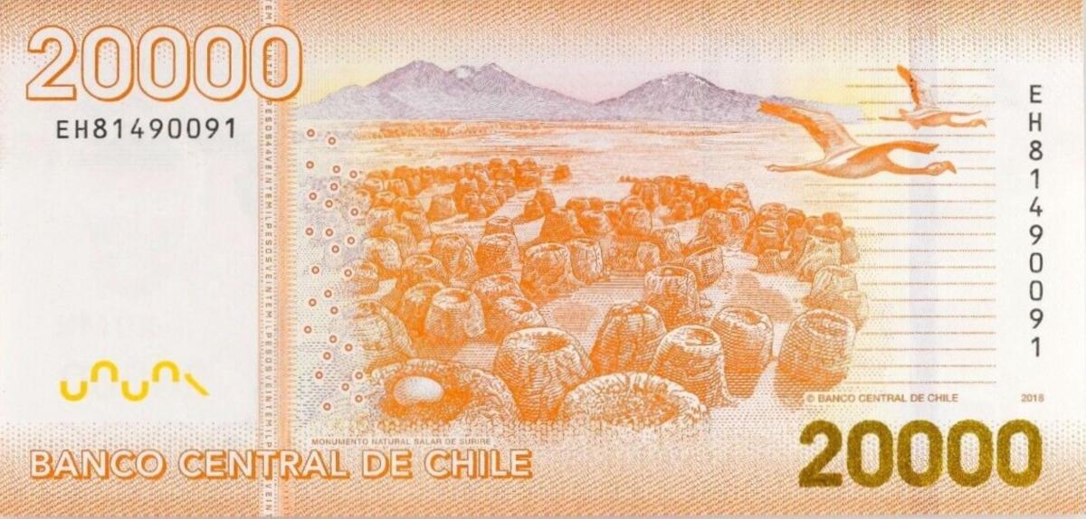 Back of Chile p165i: 20000 Pesos from 2018