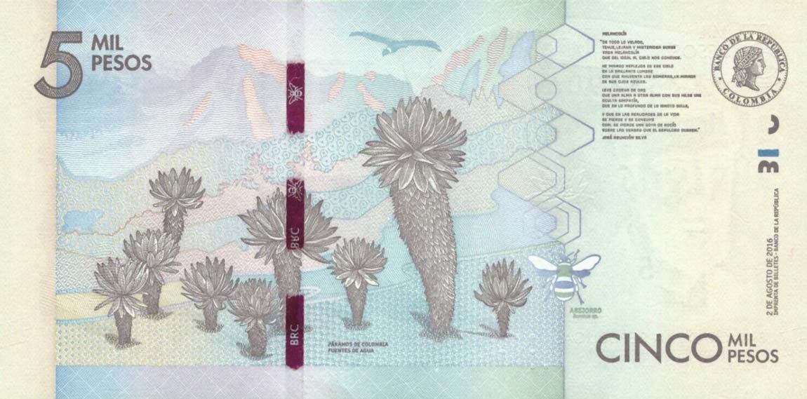 Back of Colombia p459b: 5000 Pesos from 2016