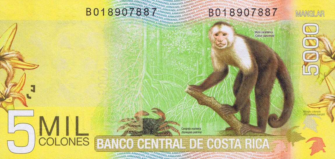 Back of Costa Rica p276b: 5000 Colones from 2012