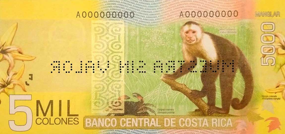 Back of Costa Rica p276s: 5000 Colones from 2009