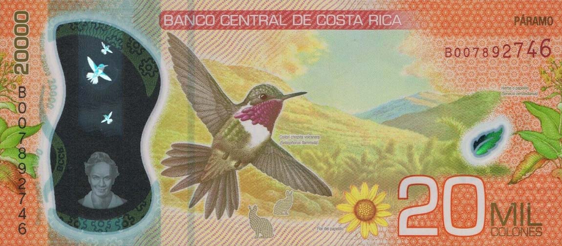 Back of Costa Rica p284a: 20000 Colones from 2018