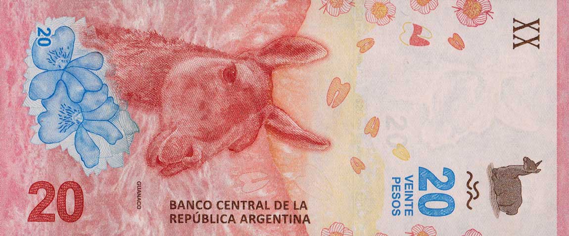 Front of Argentina p361: 20 Pesos from 2017