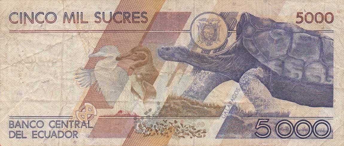 Back of Ecuador p126a: 5000 Sucres from 1987