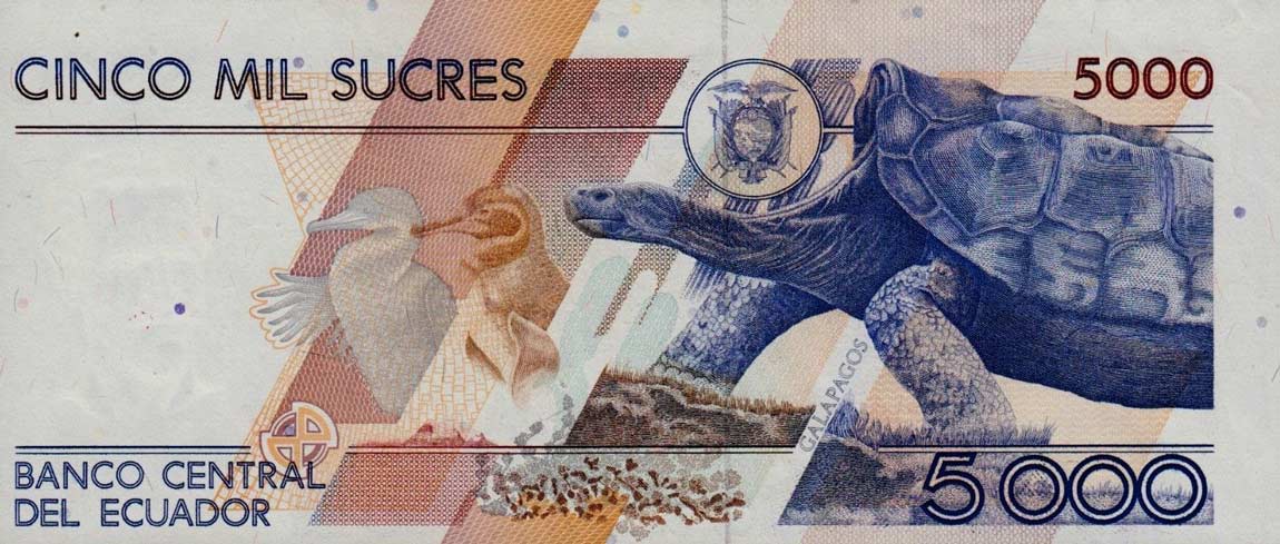 Back of Ecuador p126s: 5000 Sucres from 1987