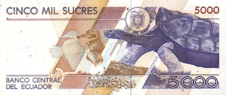 Back of Ecuador p128b: 5000 Sucres from 1995