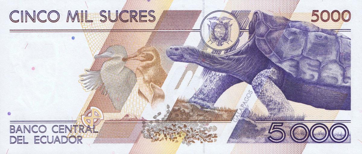 Back of Ecuador p128c: 5000 Sucres from 1999