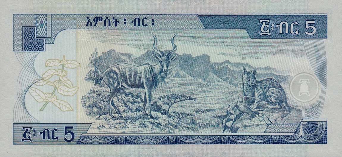 Back of Ethiopia p47d: 5 Birr from 2006