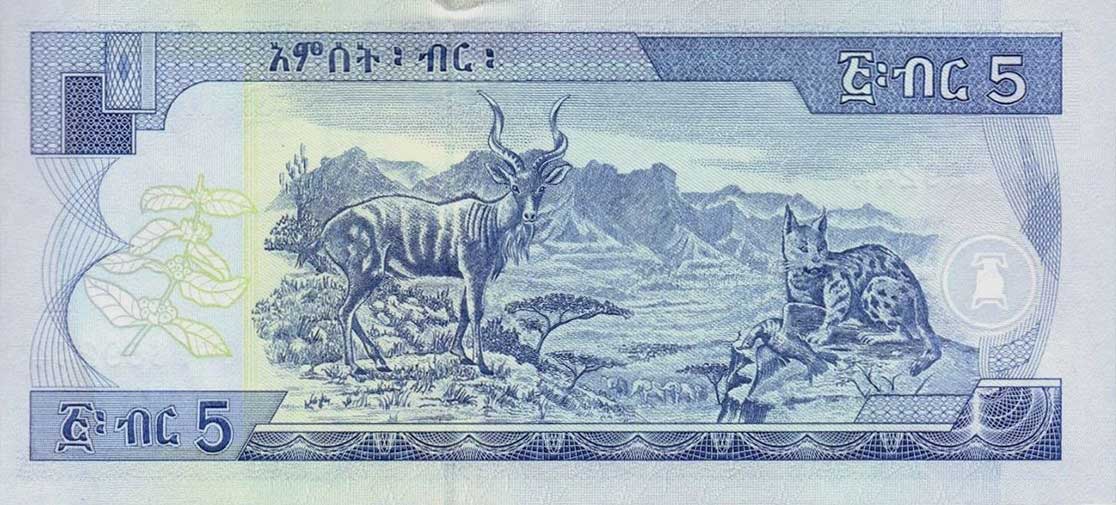 Back of Ethiopia p47e: 5 Birr from 2008