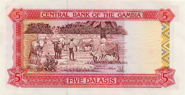 Back of Gambia p12b: 5 Dalasis from 1991
