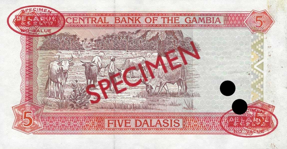 Back of Gambia p16s: 5 Dalasis from 1996