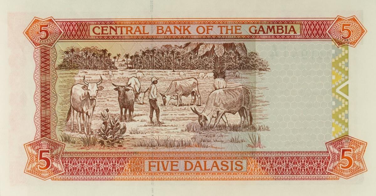 Back of Gambia p20b: 5 Dalasis from 2001