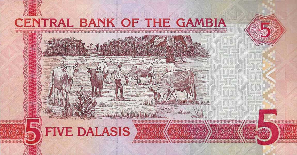 Back of Gambia p20c: 5 Dalasis from 2001