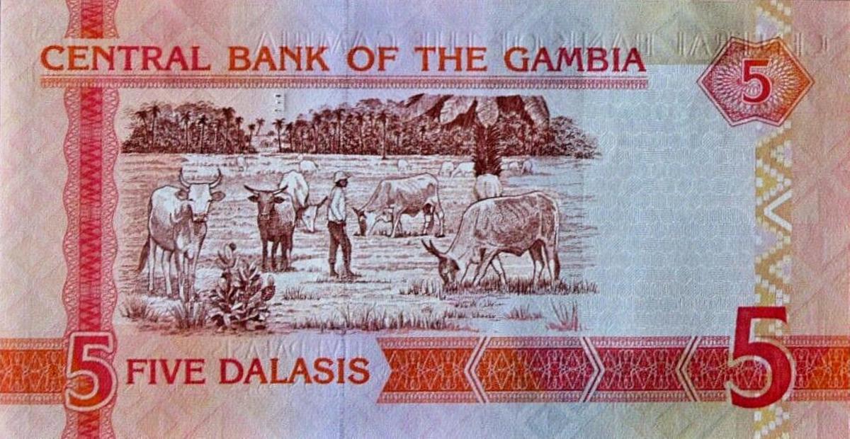 Back of Gambia p25b: 5 Dalasis from 2006