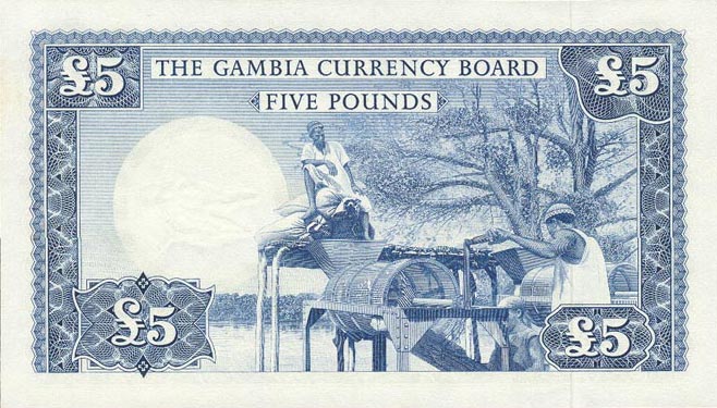 Back of Gambia p3a: 5 Pounds from 1965