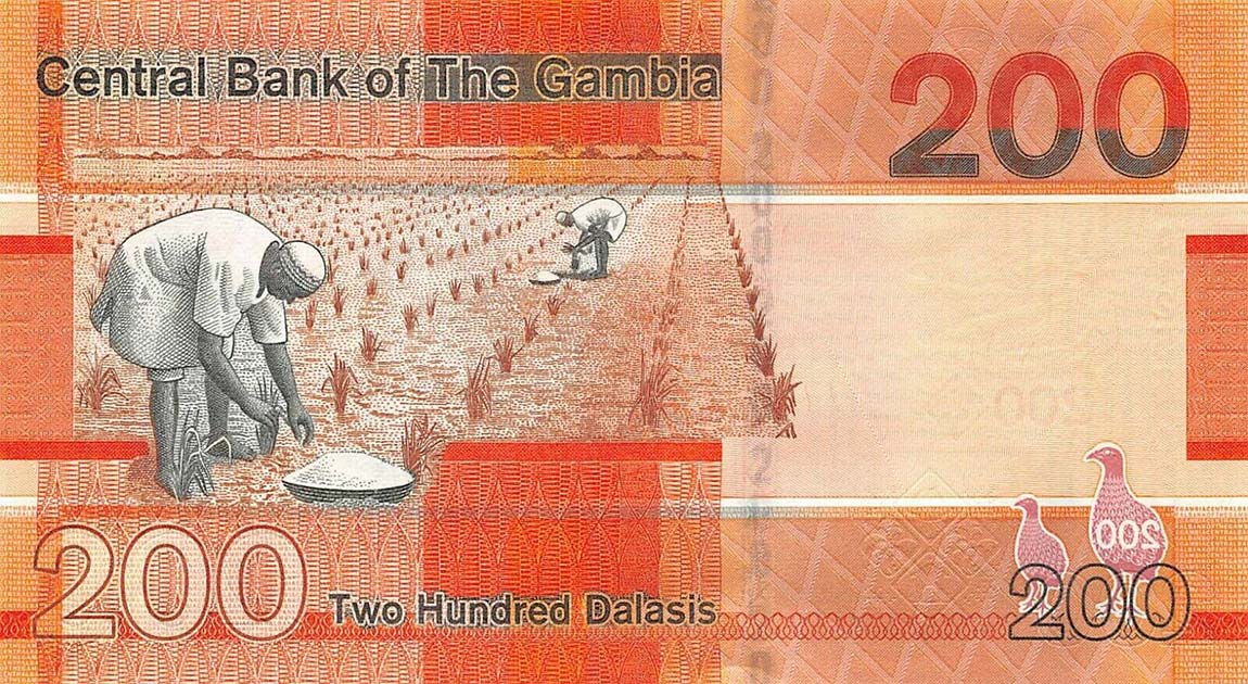 RealBanknotes.com > Gambia P42: 200 Dalasis From 2019